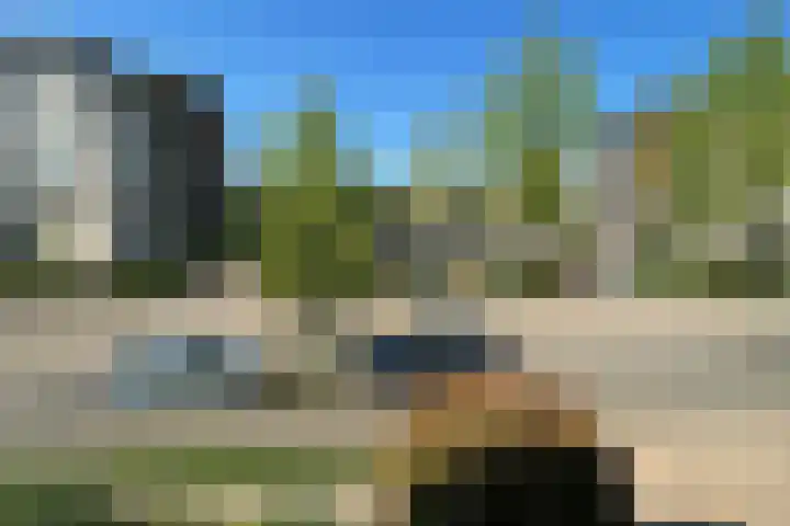 Romulus 45 Wijk bij Duurstede thumbnail 35