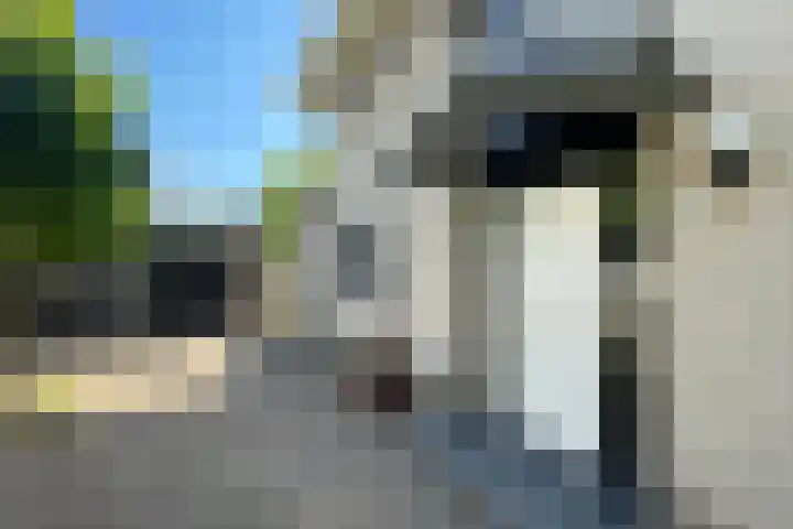 Romulus 45 Wijk bij Duurstede thumbnail 7