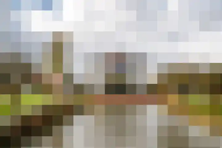 Romulus 76 Wijk bij Duurstede thumbnail 30