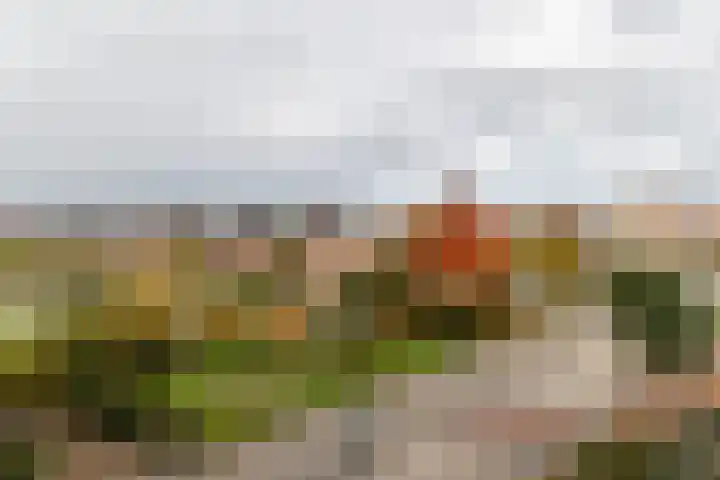 Romulus 76 Wijk bij Duurstede thumbnail 31