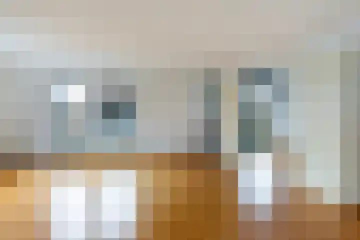 Romulus 76 Wijk bij Duurstede thumbnail 6