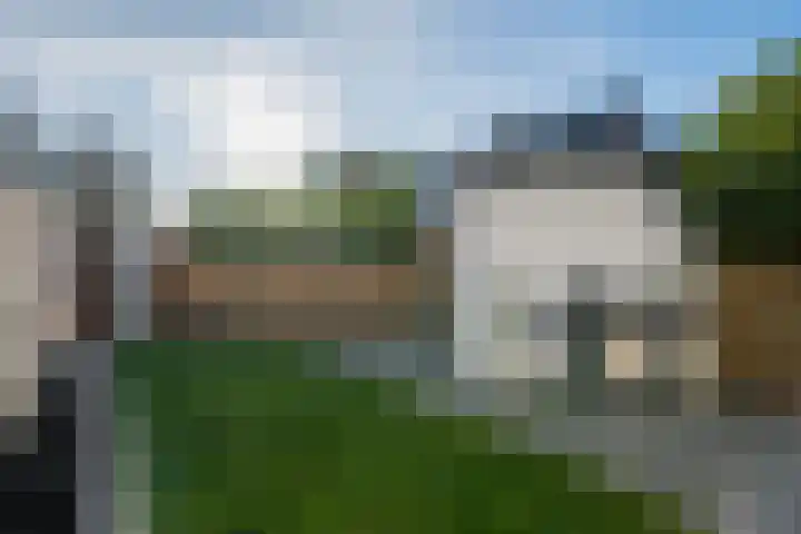 Romulushof 41 Maastricht thumbnail 41