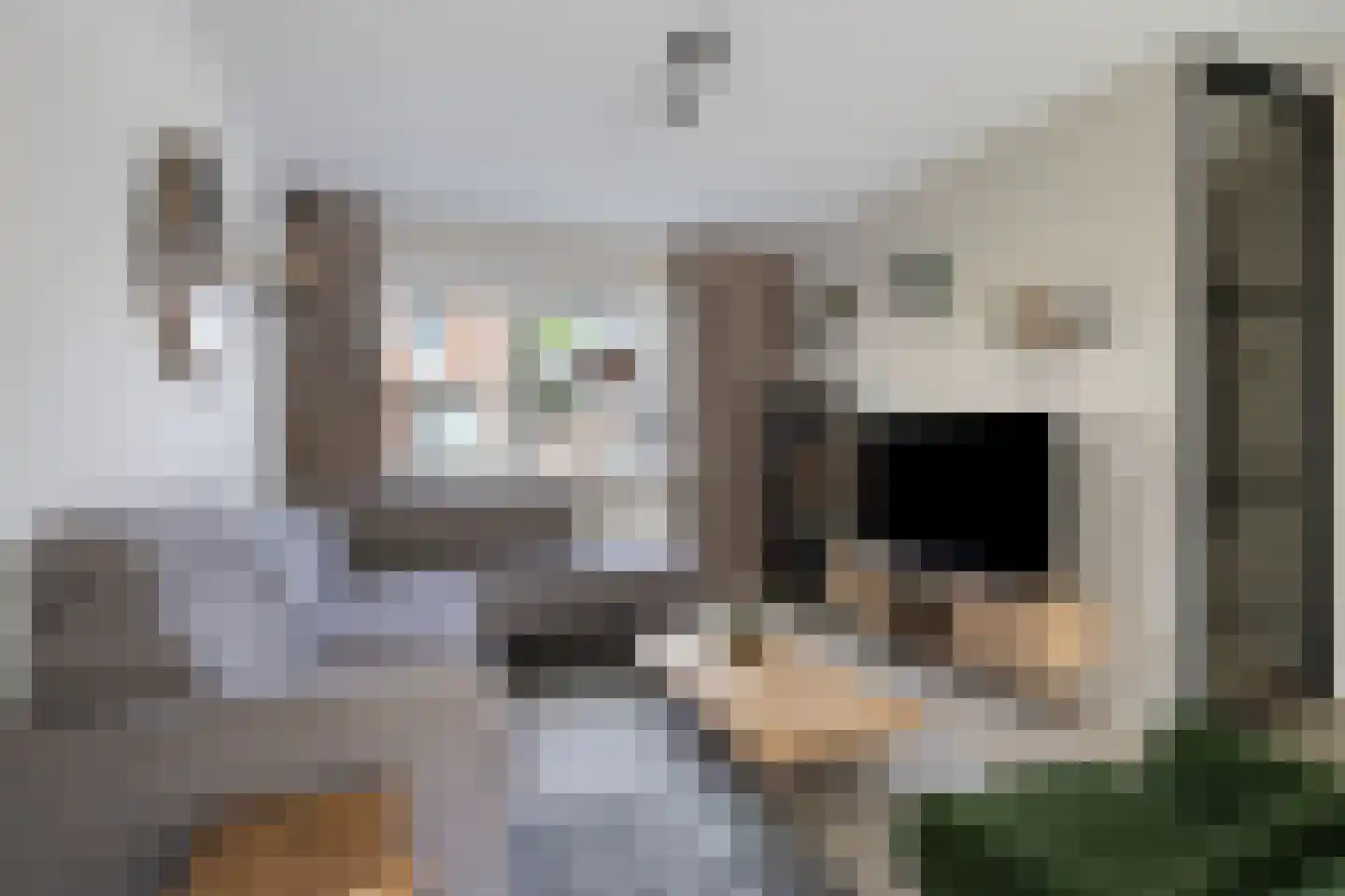 Romulushof 6 Maastricht thumbnail 8