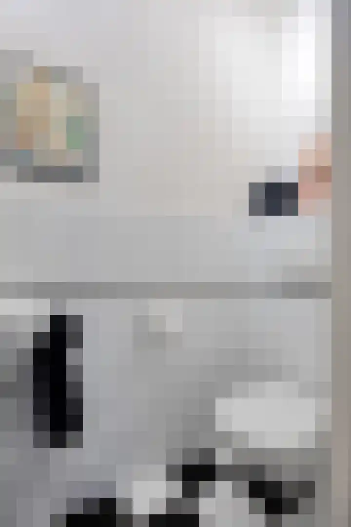 Romuluslaan 35 Eindhoven thumbnail 10