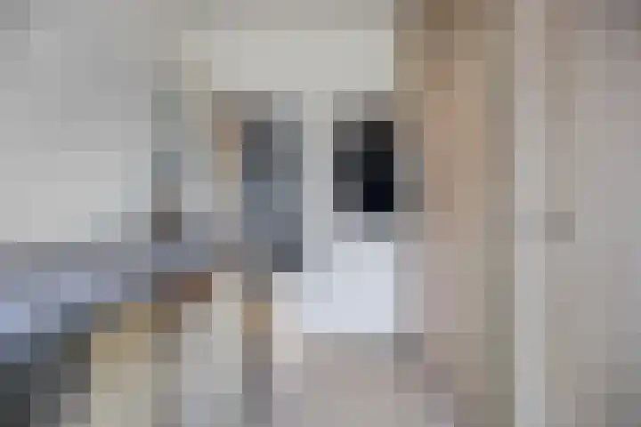 Romuluslaan 35 Eindhoven thumbnail 12