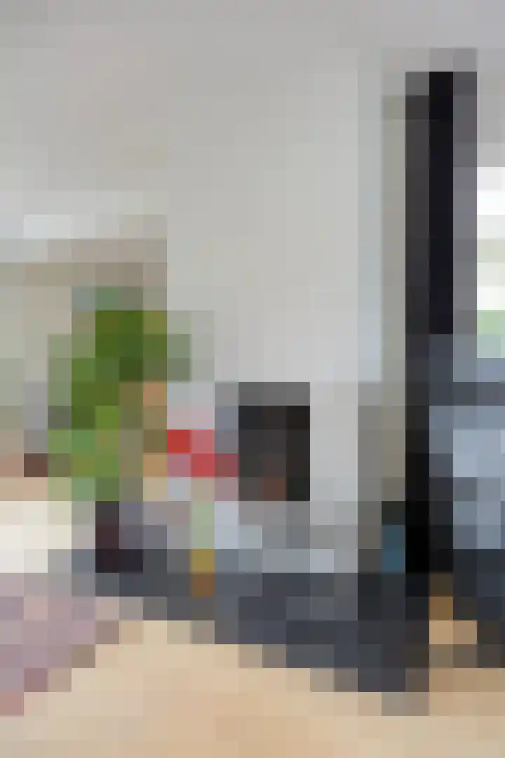 Romuluslaan 35 Eindhoven thumbnail 14