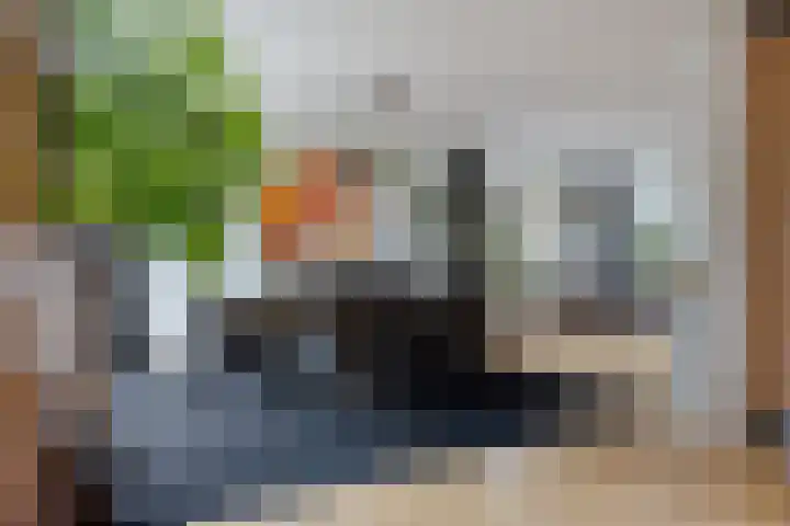 Romuluslaan 35 Eindhoven thumbnail 19
