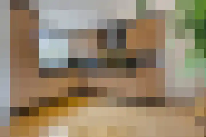Romuluslaan 35 Eindhoven thumbnail 20