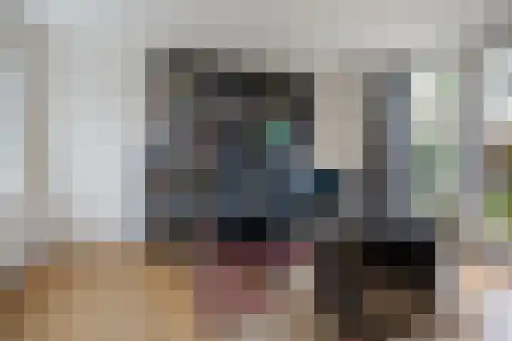 Romuluslaan 35 Eindhoven thumbnail 24