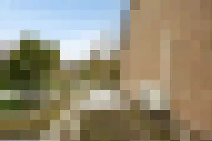 Romuluslaan 35 Eindhoven thumbnail 29