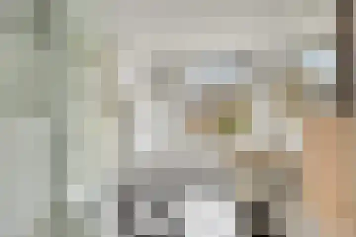 Romuluslaan 35 Eindhoven thumbnail 30