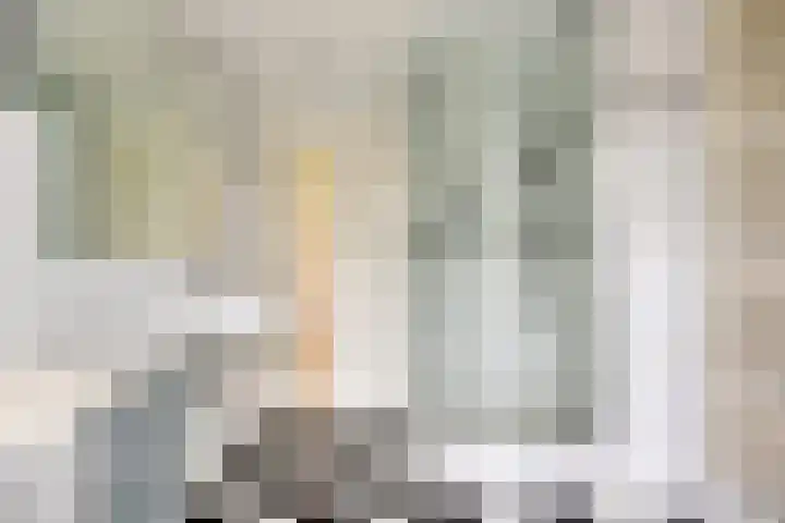 Romuluslaan 35 Eindhoven thumbnail 31