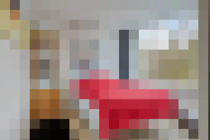 Romuluslaan 35 Eindhoven thumbnail 34