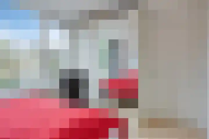 Romuluslaan 35 Eindhoven thumbnail 35