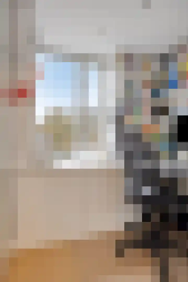 Romuluslaan 35 Eindhoven thumbnail 36