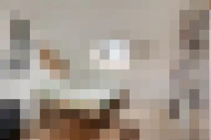 Romuluslaan 35 Eindhoven thumbnail 37