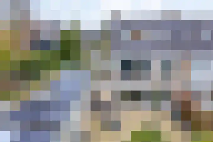 Romuluslaan 35 Eindhoven thumbnail 4