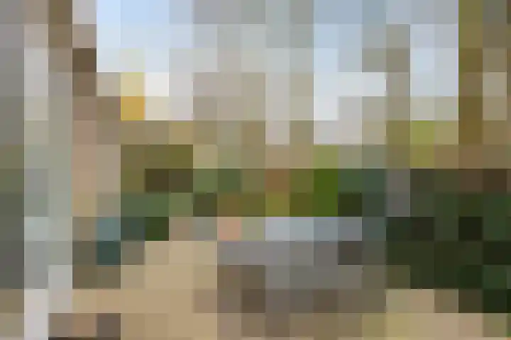 Romuluslaan 35 Eindhoven thumbnail 40