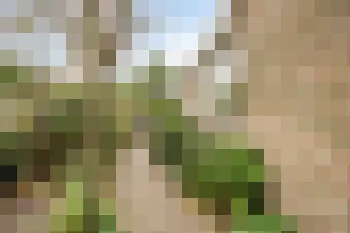 Romuluslaan 35 Eindhoven thumbnail 41