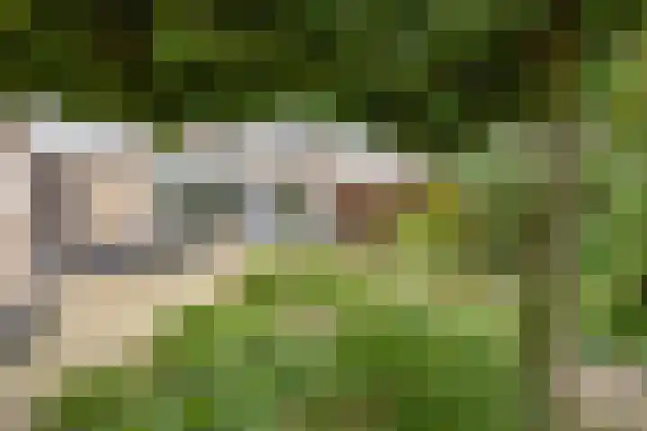 Romuluslaan 35 Eindhoven thumbnail 43