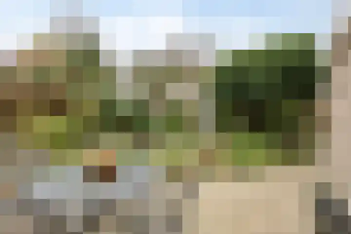 Romuluslaan 35 Eindhoven thumbnail 44