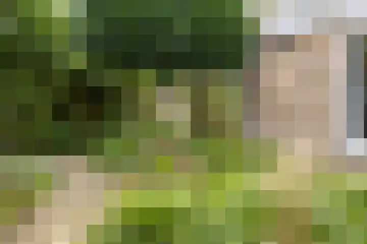 Romuluslaan 35 Eindhoven thumbnail 45