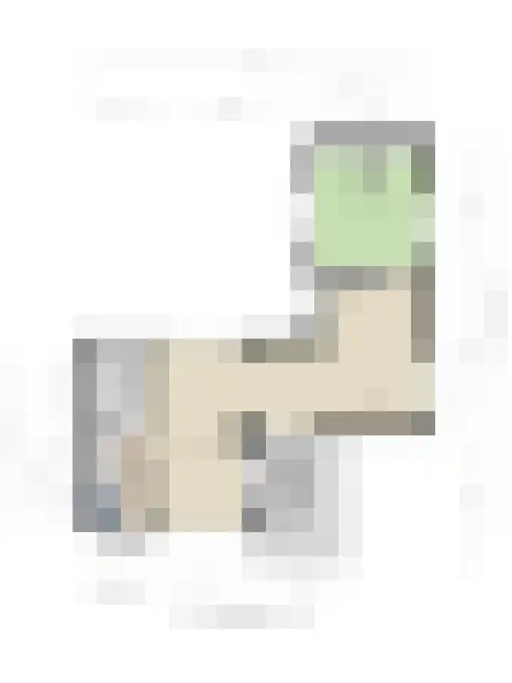Romuluslaan 35 Eindhoven thumbnail 46