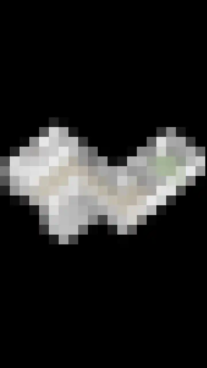 Romuluslaan 35 Eindhoven thumbnail 49