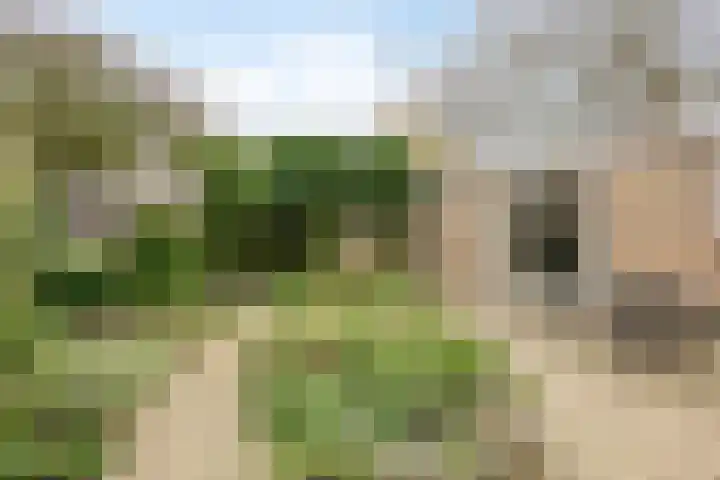 Romuluslaan 35 Eindhoven thumbnail 5