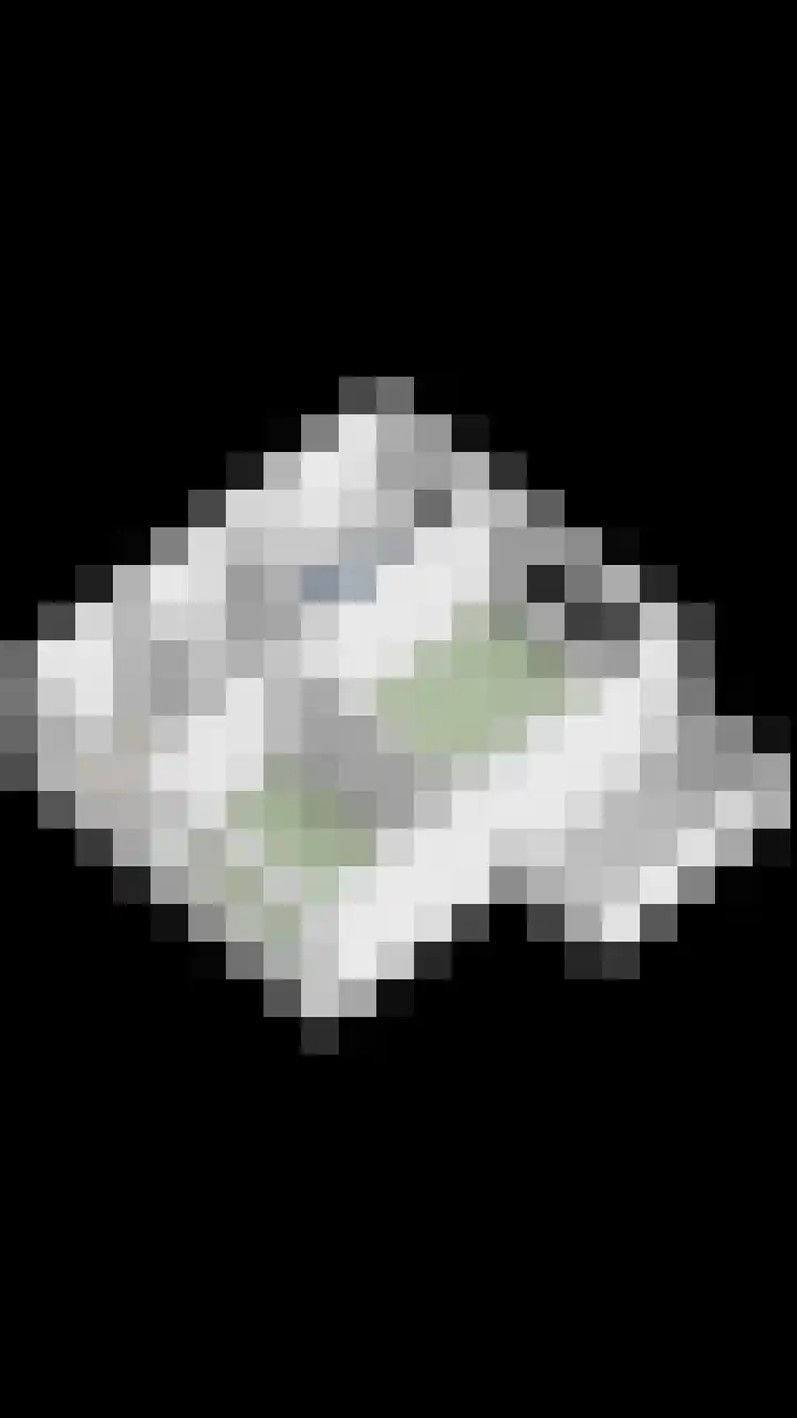 Romuluslaan 35 Eindhoven thumbnail 50