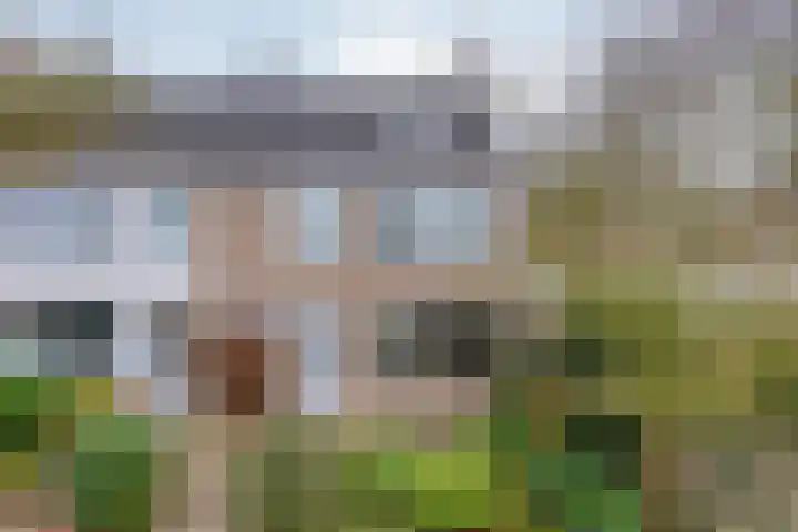 Romuluslaan 35 Eindhoven thumbnail 8