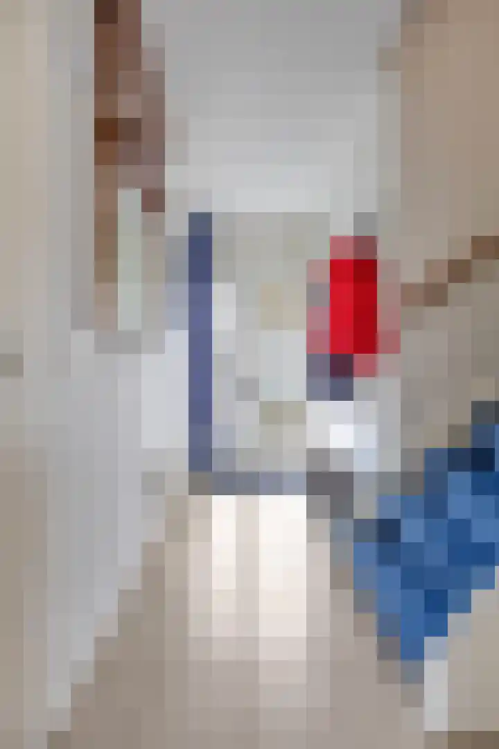 Romuluslaan 35 Eindhoven thumbnail 9
