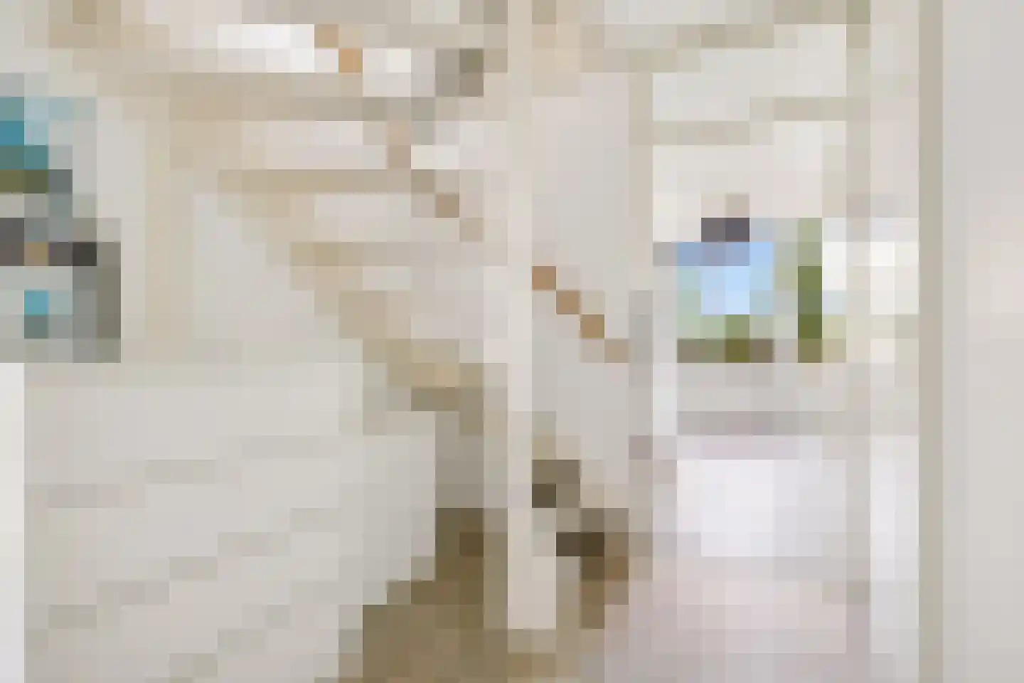 Romy Schneiderweg 37 Almere thumbnail 41