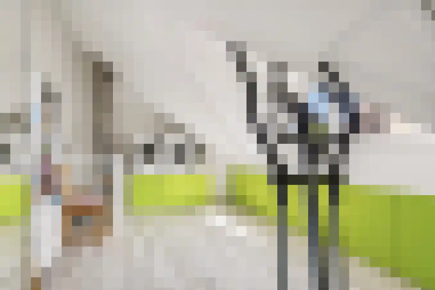 Romy Schneiderweg 37 Almere thumbnail 43