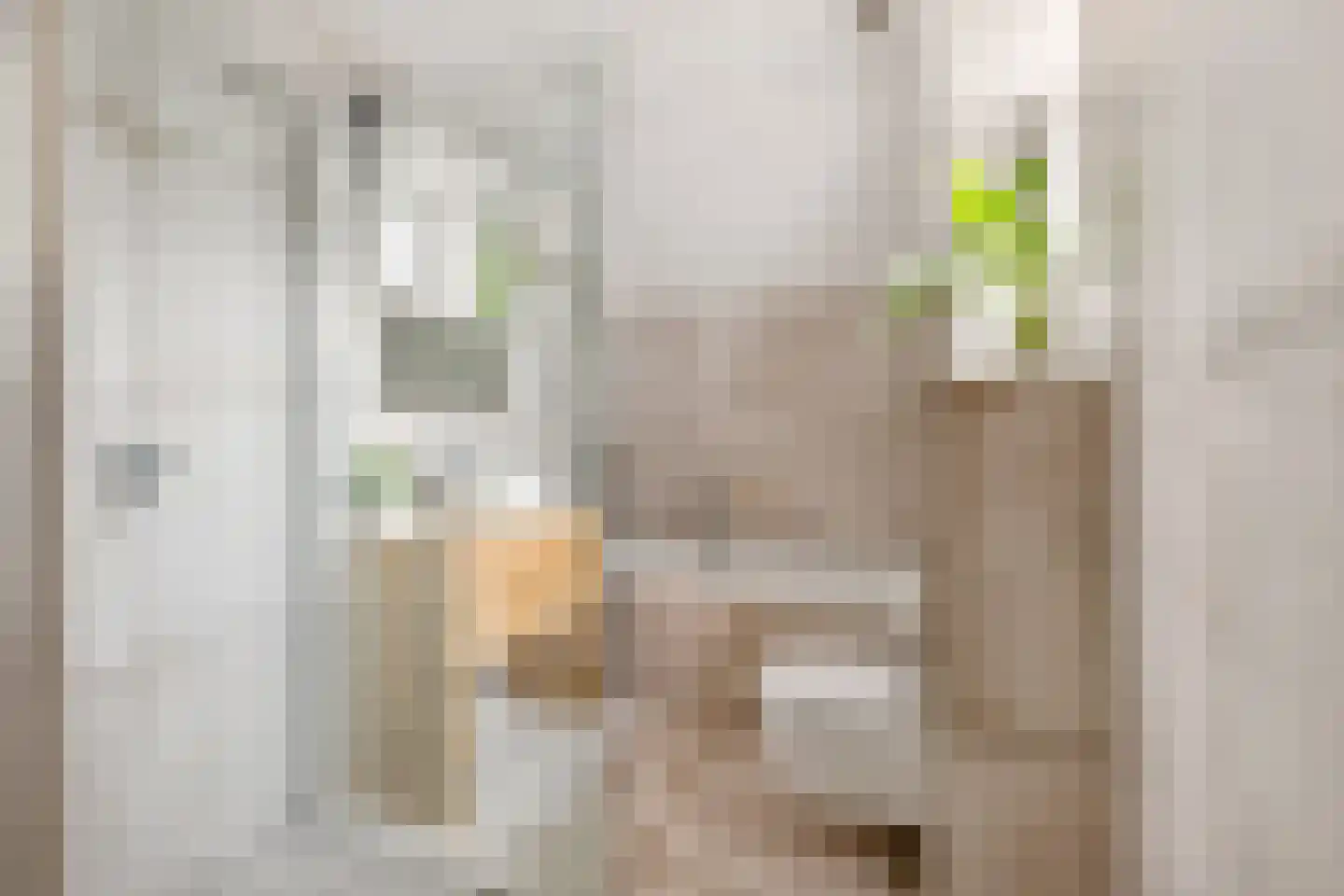 Romy Schneiderweg 39 Almere thumbnail 5