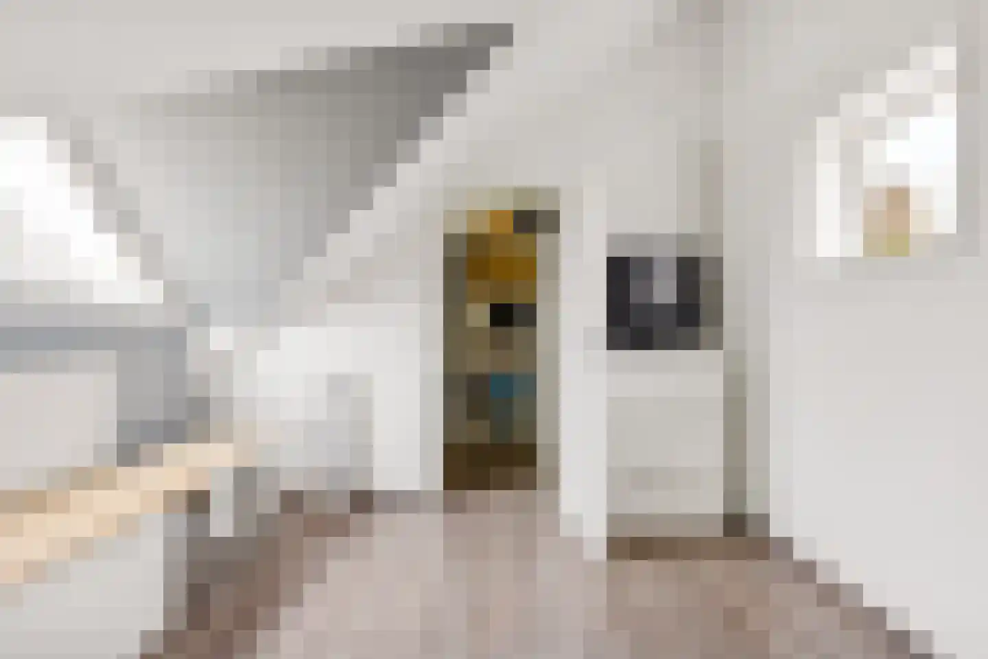 Romy Schneiderweg 39 Almere thumbnail 51