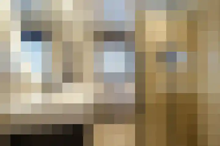Romy Schneiderweg 7 Almere thumbnail 18