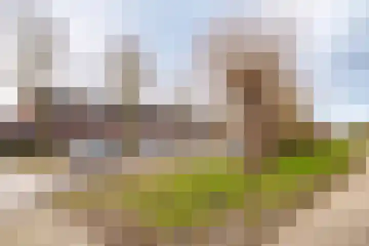 Romy Schneiderweg 7 Almere thumbnail 35
