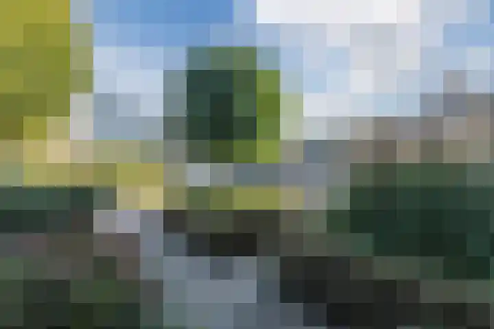 Rond de Watertoren 11 Bodegraven thumbnail 19