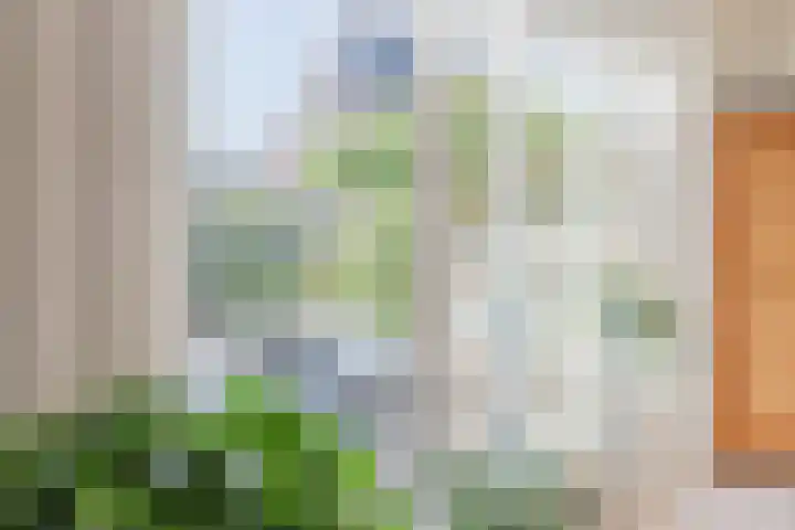 Rond de Watertoren 11 Bodegraven thumbnail 26