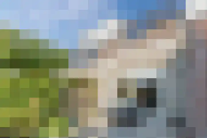 Rond de Watertoren 11 Bodegraven thumbnail 34
