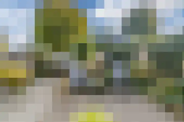 Rond de Watertoren 11 Bodegraven thumbnail 36