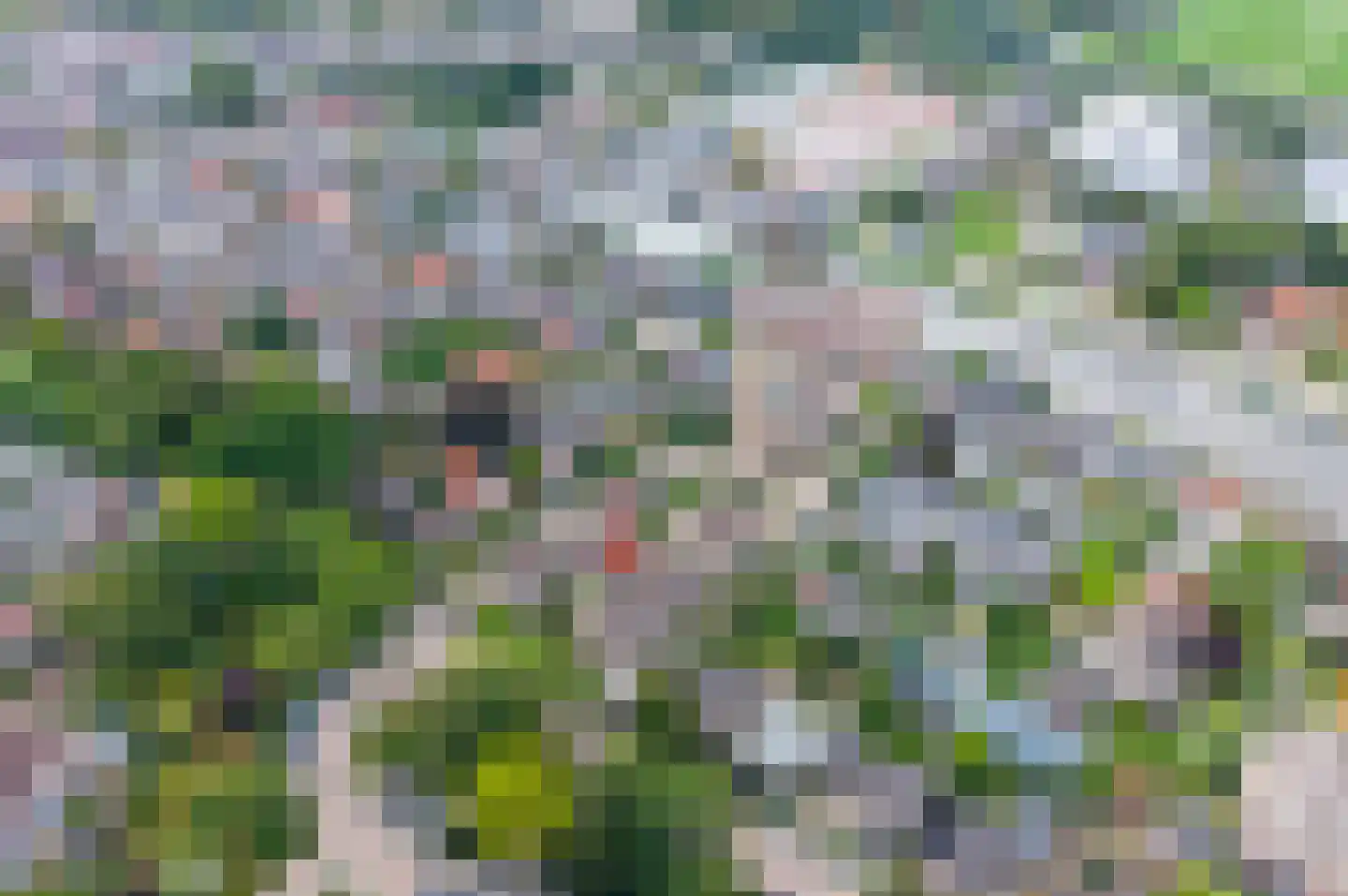 Rond de Watertoren 4 Bodegraven thumbnail 45