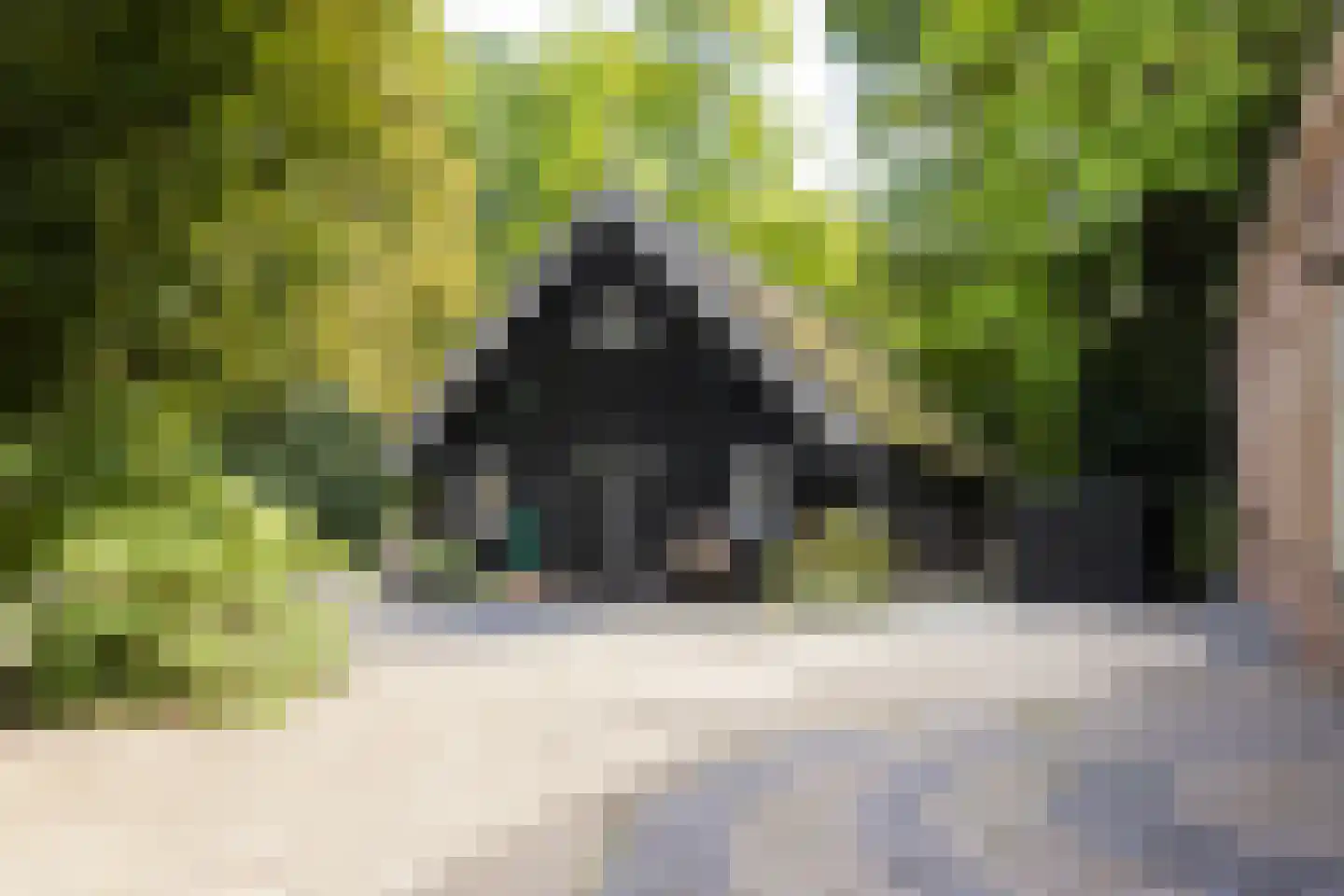 Rond het Fort 22 Nieuwegein thumbnail 40