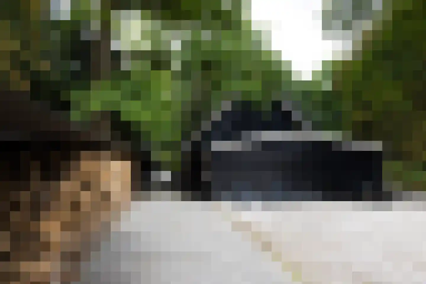 Rond het Fort 22 Nieuwegein thumbnail 41