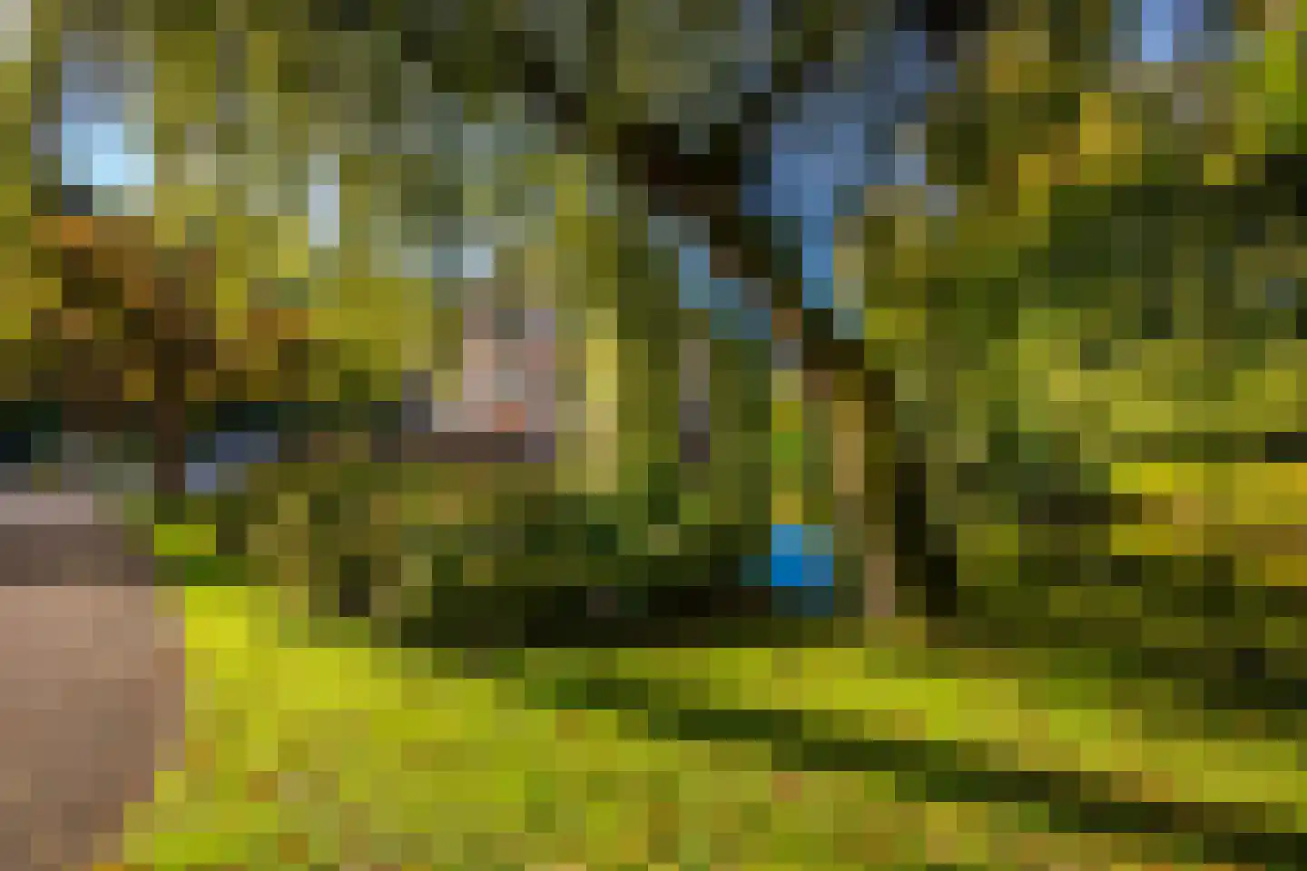 Rond het Fort 22 Nieuwegein thumbnail 42