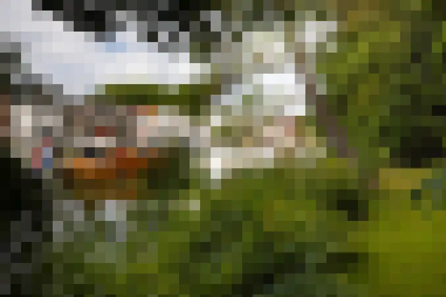 Rond het Fort 22 Nieuwegein thumbnail 46