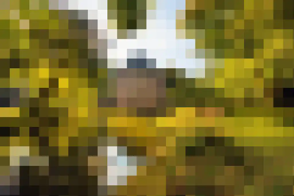 Rond het Fort 22 Nieuwegein thumbnail 6