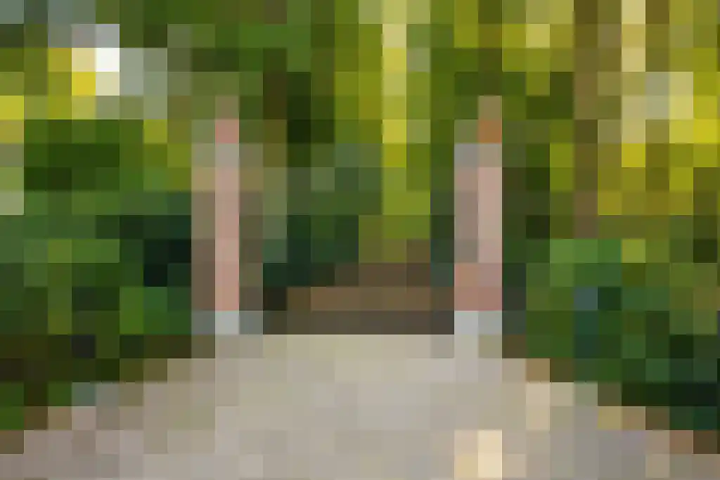Rond het Fort 22 Nieuwegein thumbnail 8