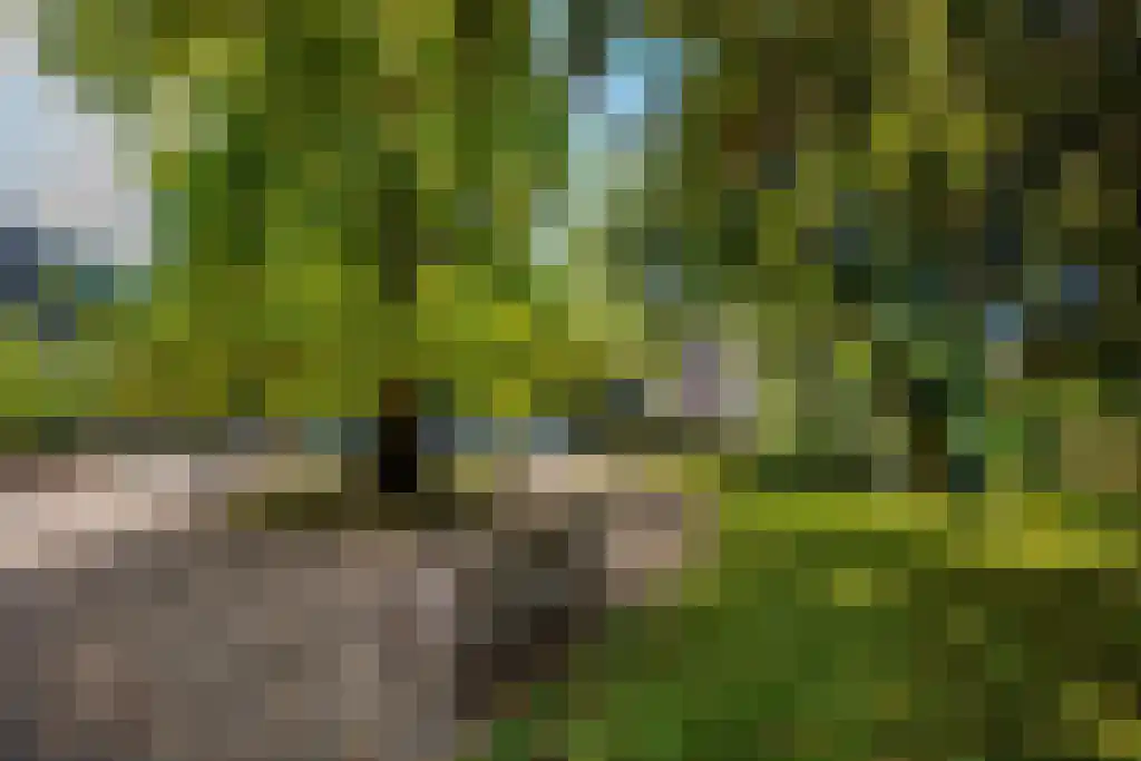 Rond het Fort 22 Nieuwegein thumbnail 9